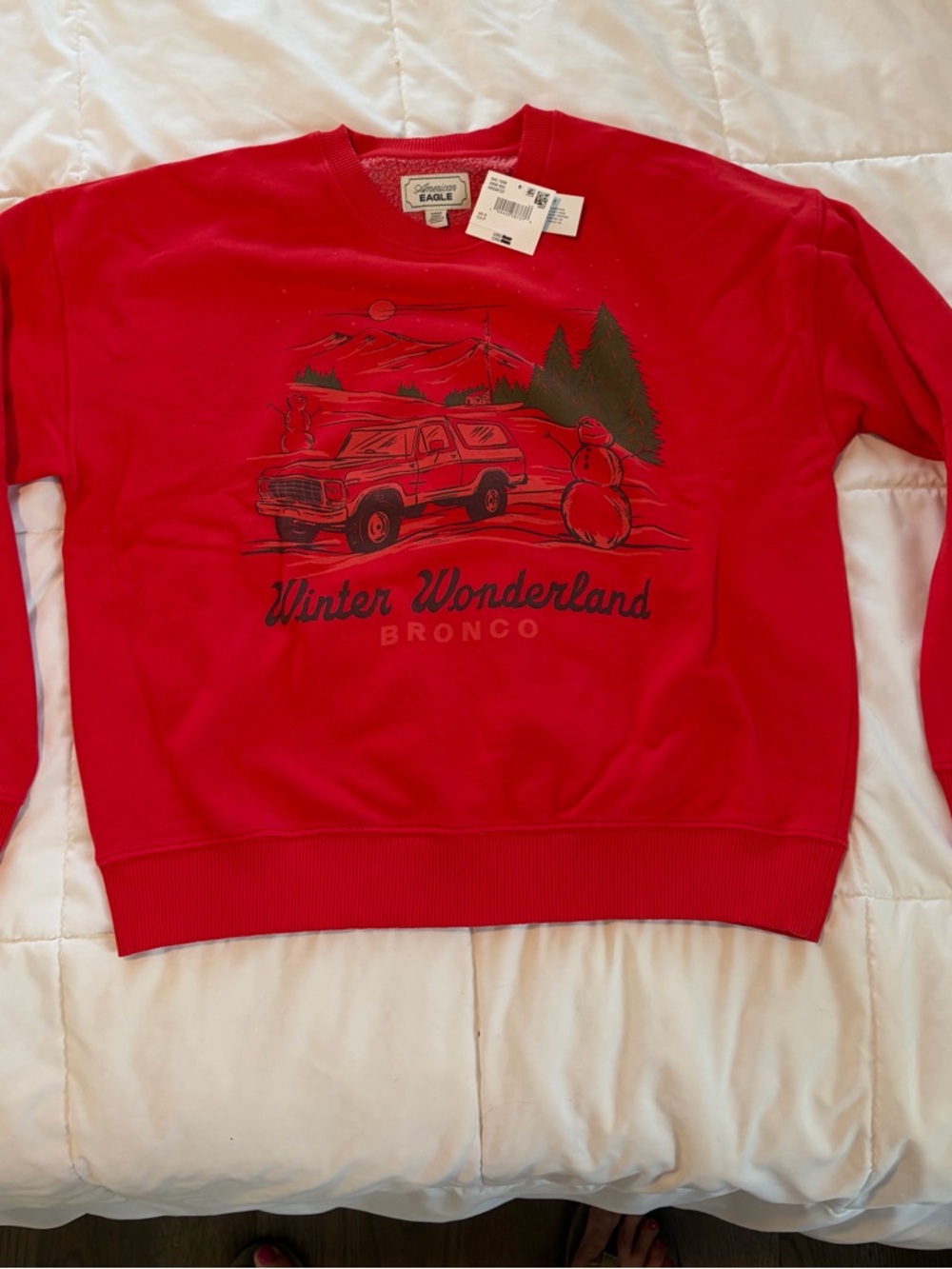 American Eagle Outfitters Red Graphic Winter Pullover